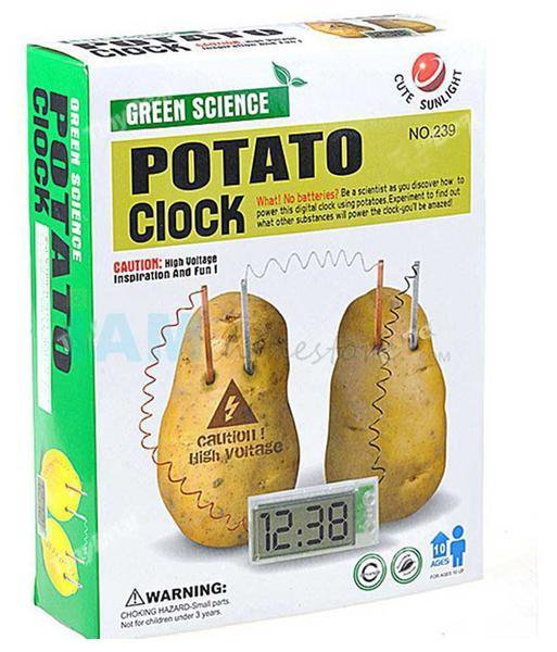Potato Clock - Science Kit Experiment